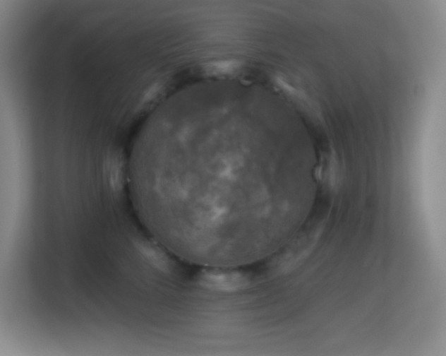X0000113860712200909241308