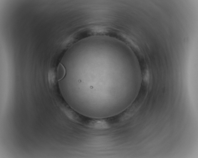 X0000113860715200909241308