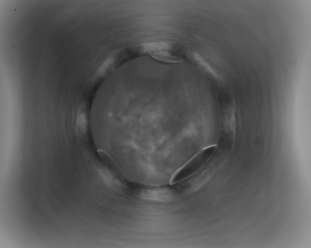 X0000113860716200909241308