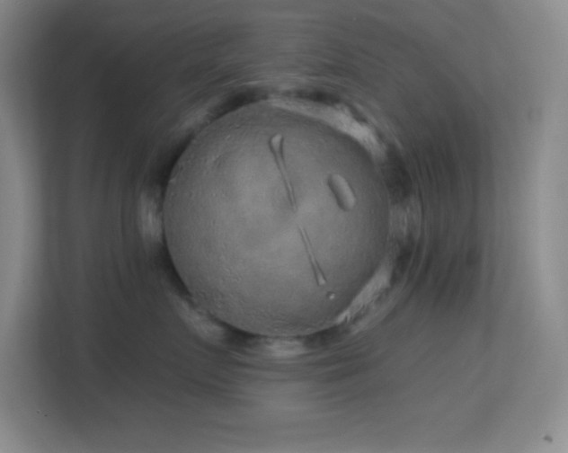 X0000113860719200909241308
