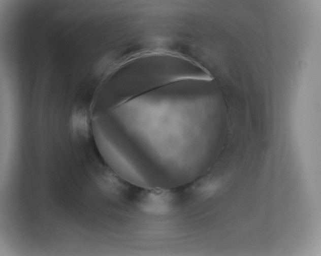 X0000113860720200909241308