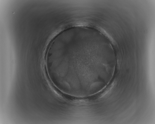 X0000113860721200909241307