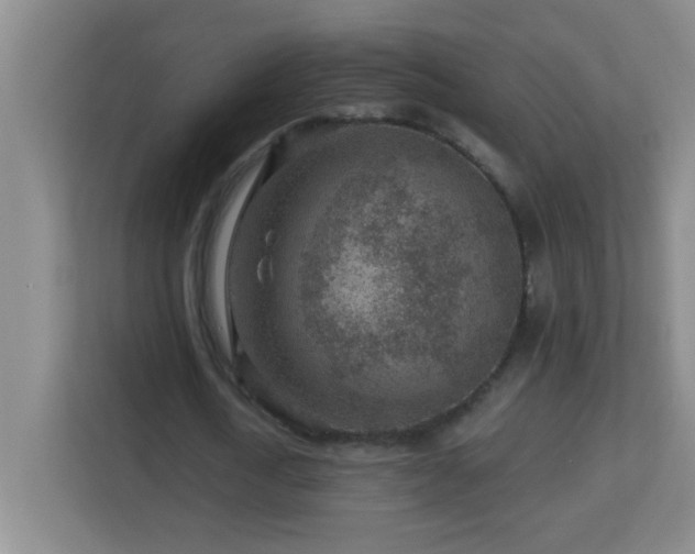 X0000113860722200909241307