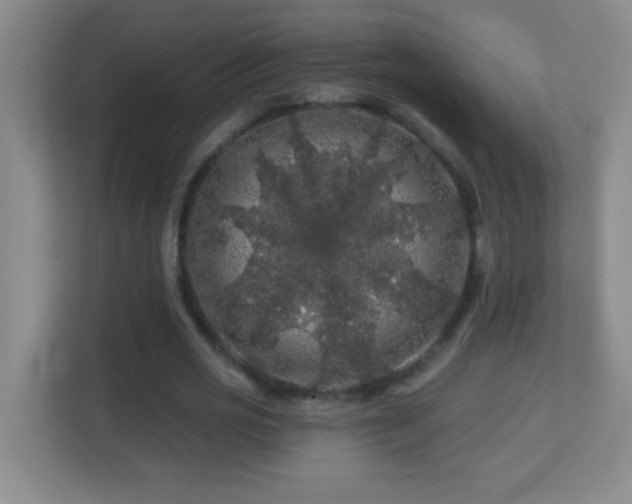 X0000113860725200909241307