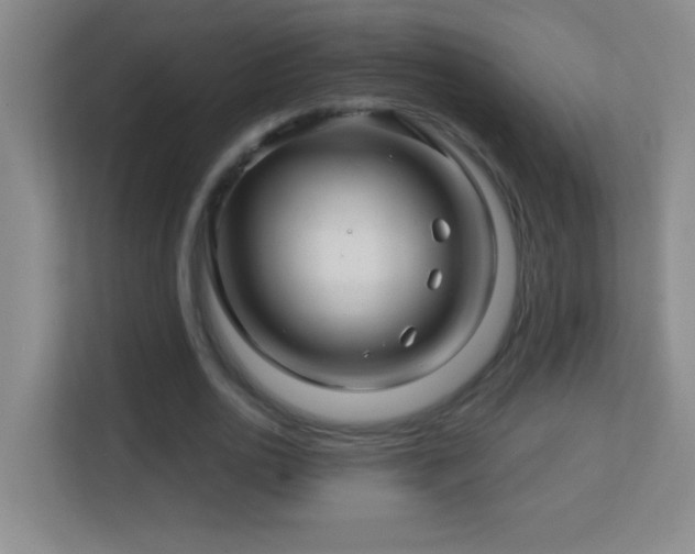 X0000113860726200909241307