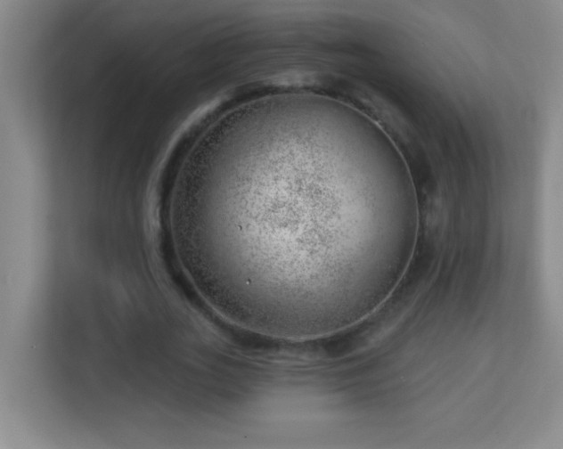 X0000113860727200909241307