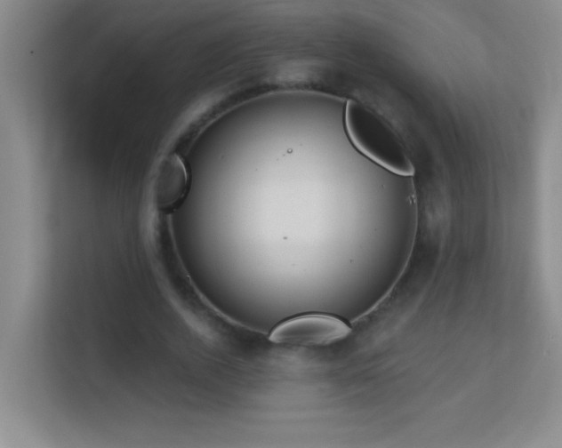X0000113860728200909241307