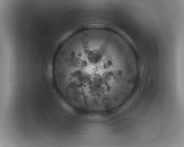 X0000113860729200909241307
