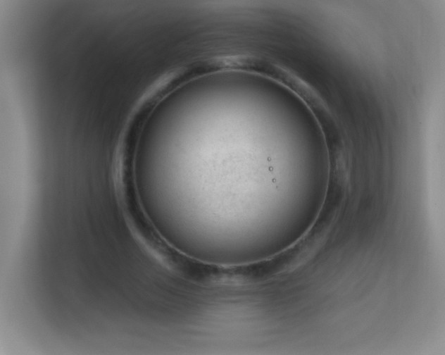 X0000113860730200909241307