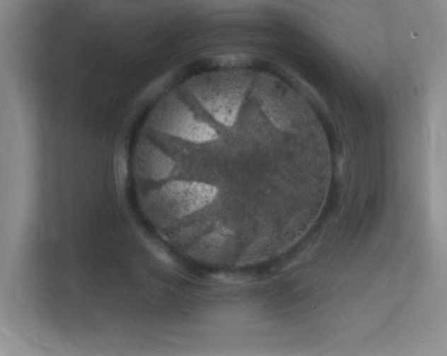 X0000113860733200909241307