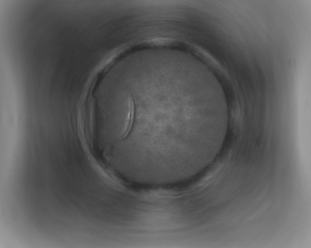 X0000113860734200909241307
