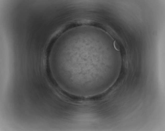 X0000113860735200909241307