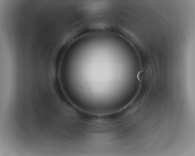 X0000113860739200909241307