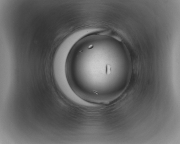 X0000113860740200909241307