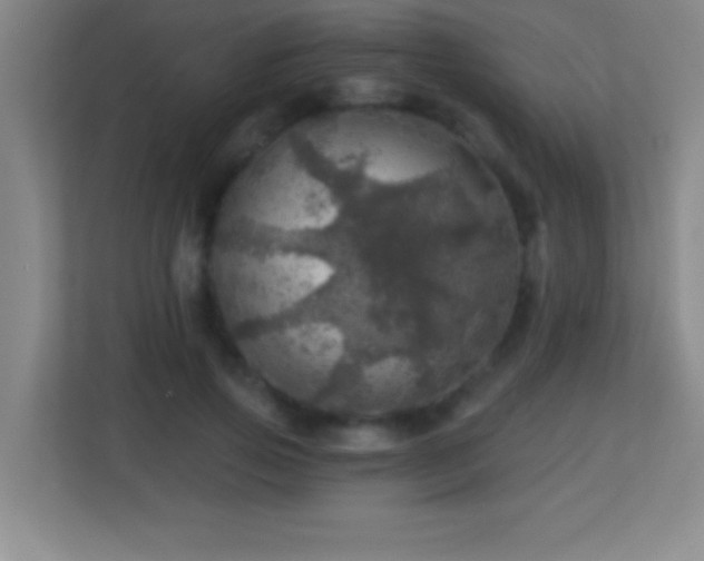 X0000113860741200909241307