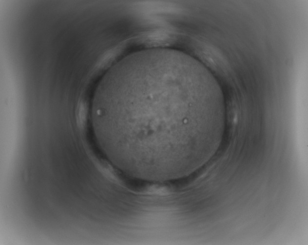 X0000113860742200909241307