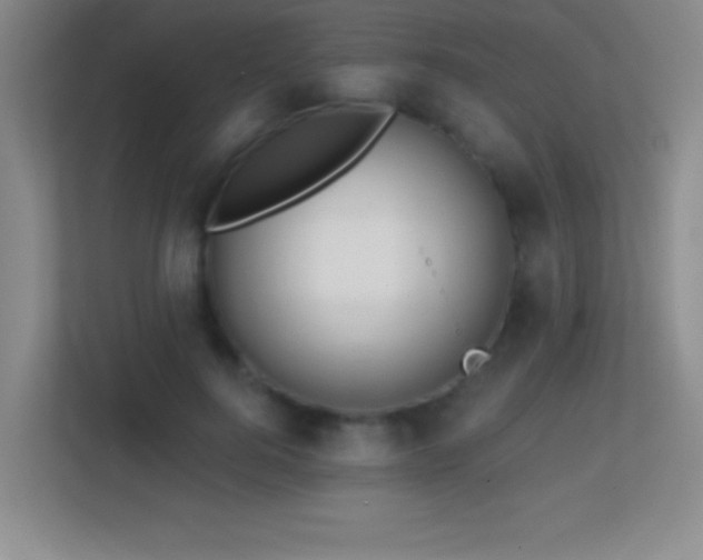 X0000113860744200909241307