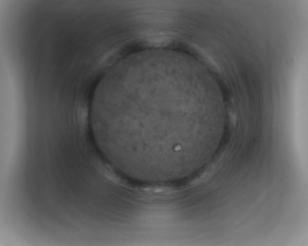 X0000113860745200909241307
