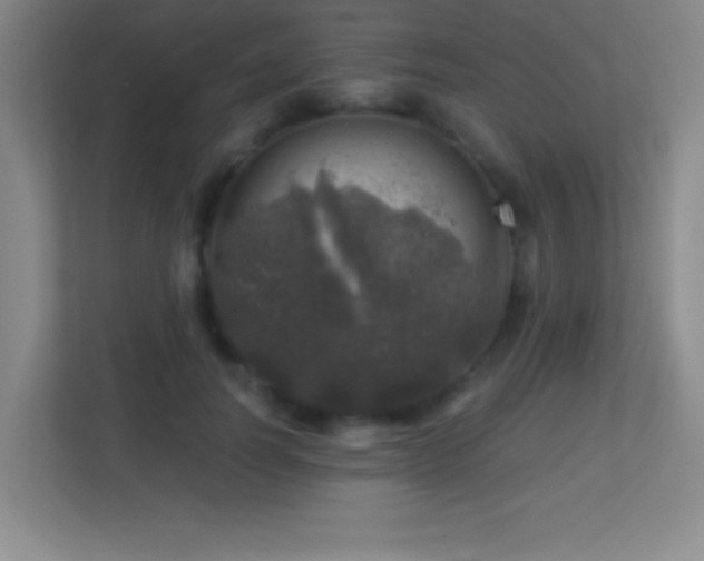 X0000113860746200909241307