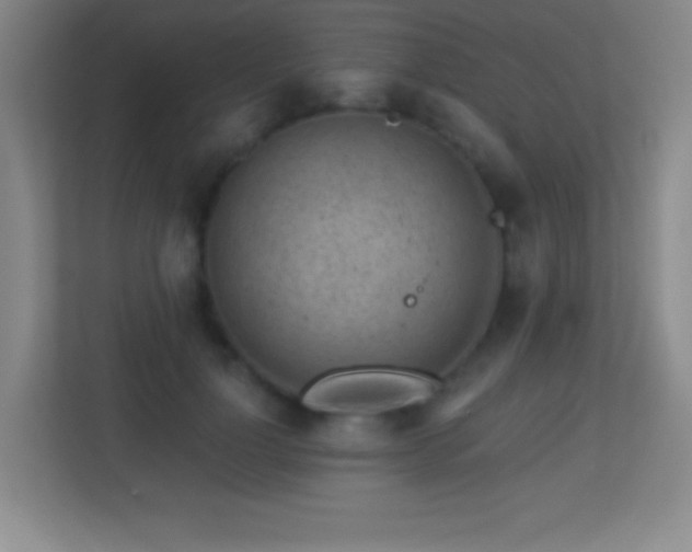 X0000113860748200909241307