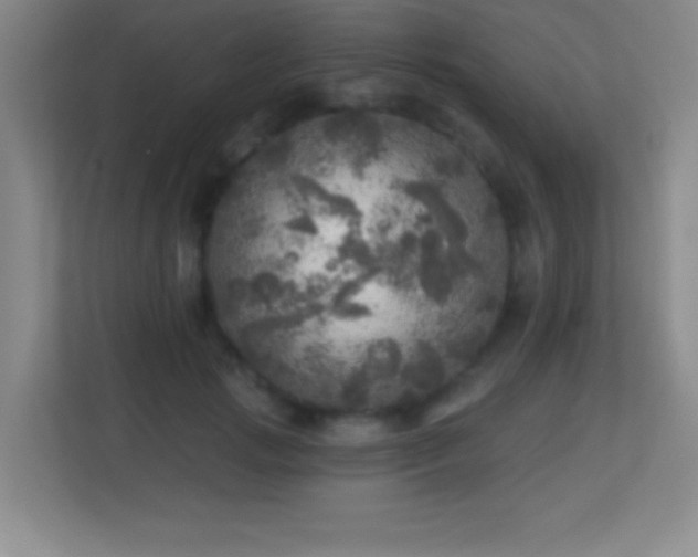 X0000113860749200909241307