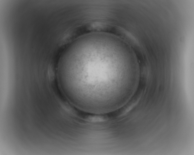 X0000113860751200909241307