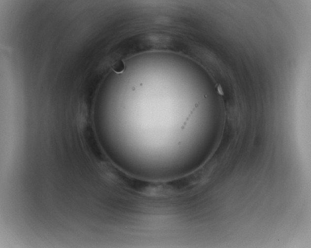 X0000113860752200909241307