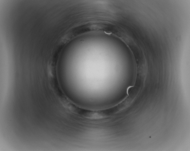 X0000113860755200909241307