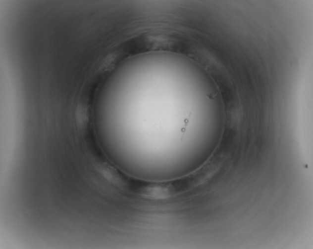 X0000113860756200909241307