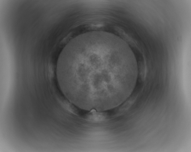 X0000113860758200909241307