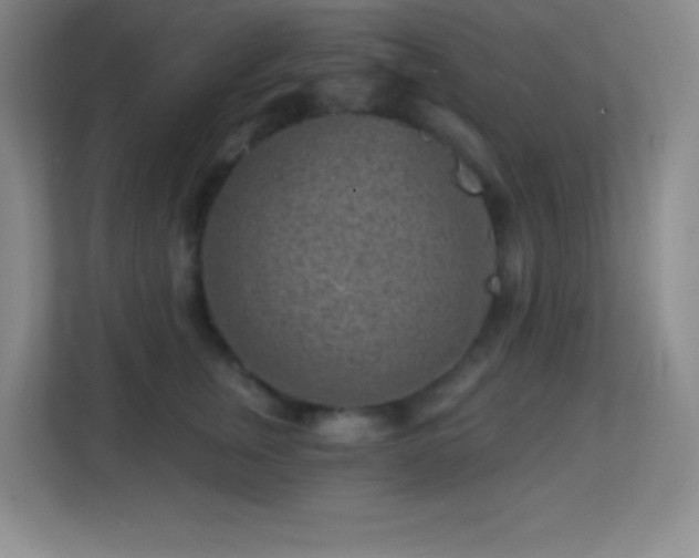 X0000113860759200909241307