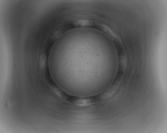 X0000113860760200909241308