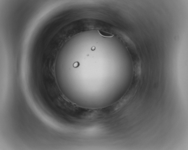 X0000113860764200909241308