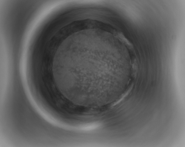 X0000113860765200909241308