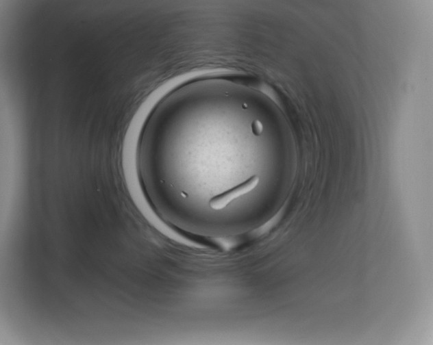 X0000113860768200909241308