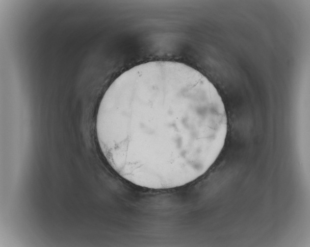 X0000113860769200909241307