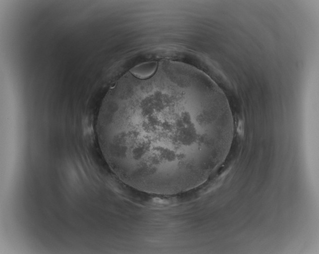 X0000113860771200909241307