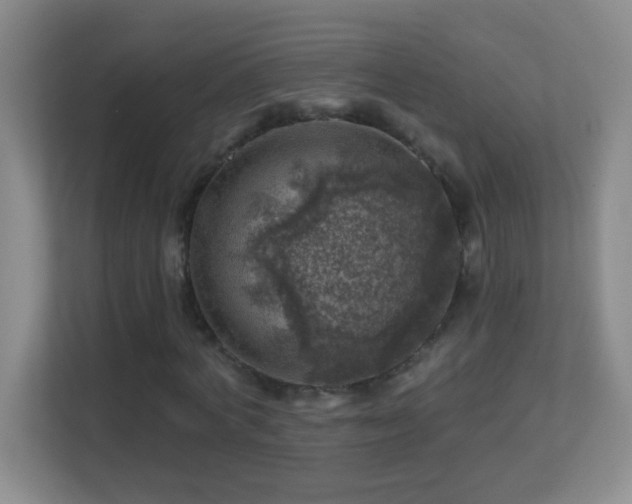 X0000113860772200909241307