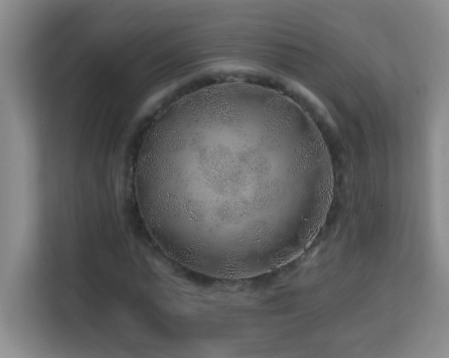 X0000113860775200909241307