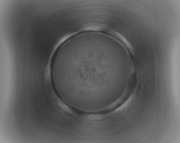 X0000113860779200909241307