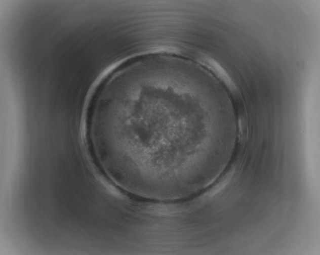 X0000113860780200909241307