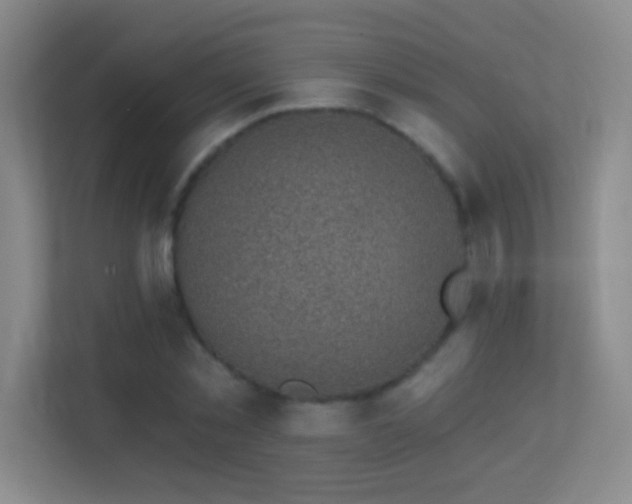 X0000113860781200909241307