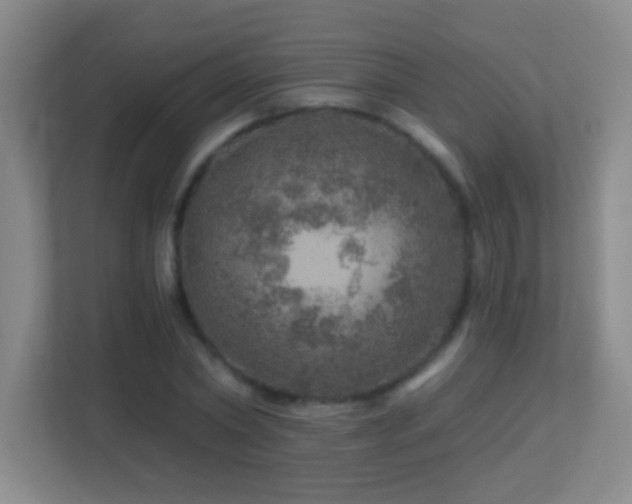 X0000113860782200909241307