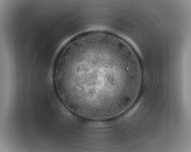 X0000113860783200909241307
