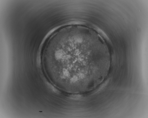 X0000113860784200909241307