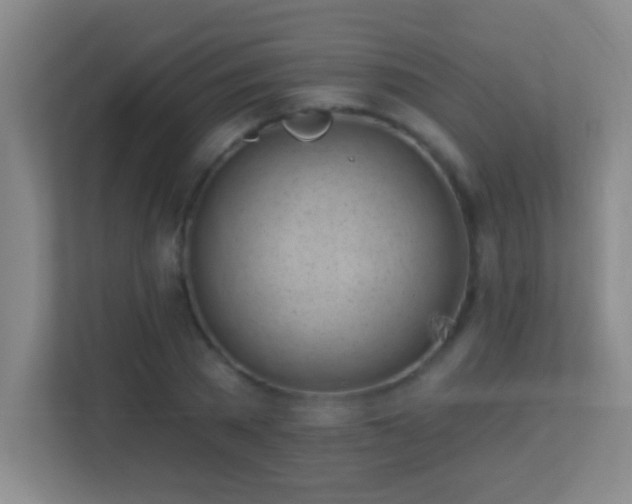 X0000113860785200909241307