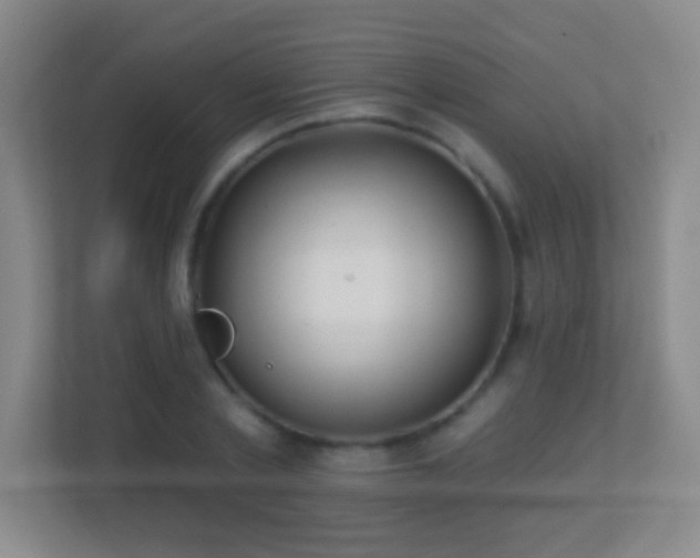 X0000113860789200909241307