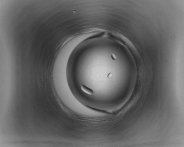 X0000113860793200909241307