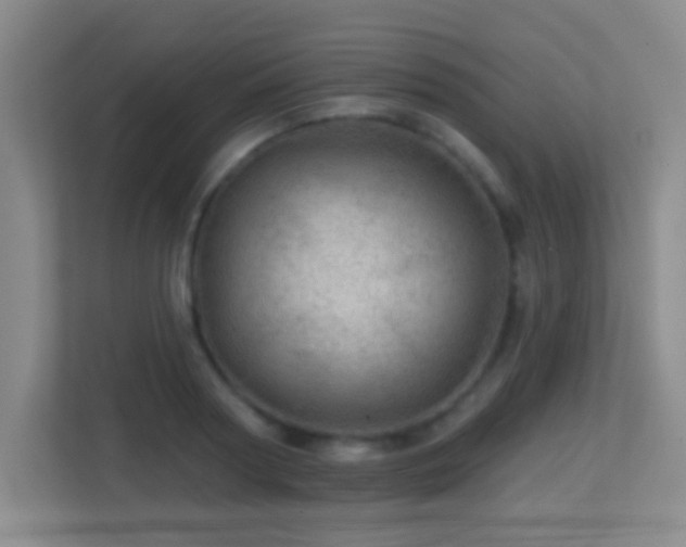 X0000113860794200909241307