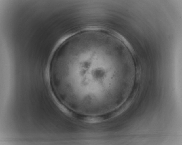 X0000113860795200909241307